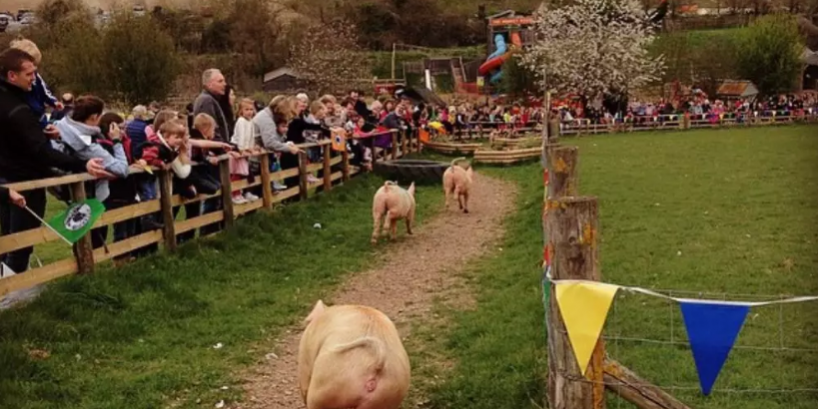 QQ截图20180816141127